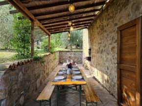 PODERE LA ZINZININA - Villa Intera Montecatini Val Di Cecina